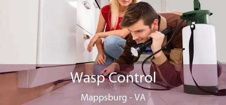  Wasp Control Mappsburg - VA