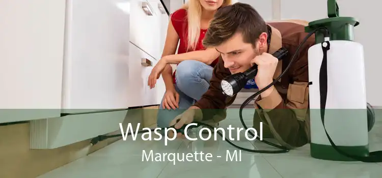 Wasp Control Marquette - MI