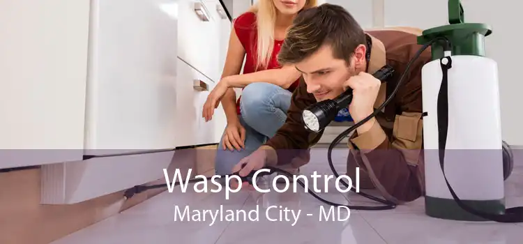 Wasp Control Maryland City - MD