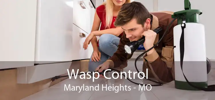 Wasp Control Maryland Heights - MO
