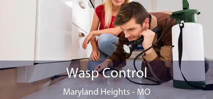  Wasp Control Maryland Heights - MO
