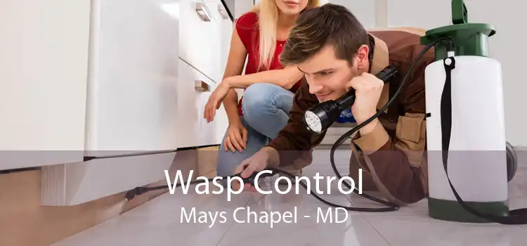 Wasp Control Mays Chapel - MD