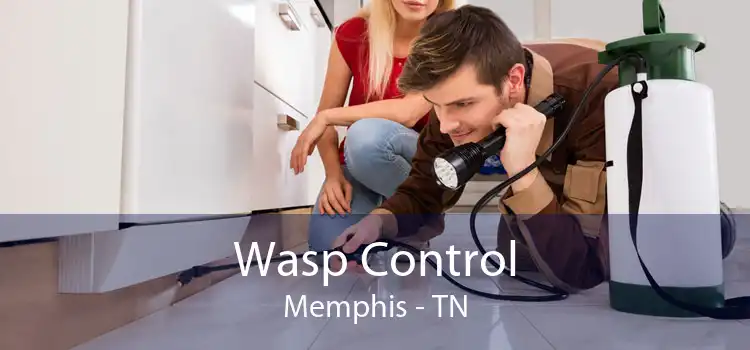 Wasp Control Memphis - TN