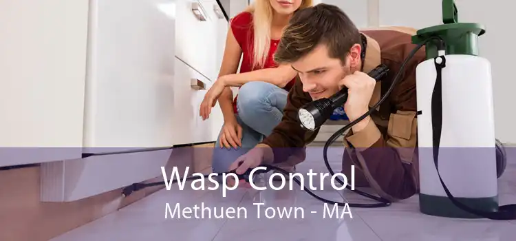 Wasp Control Methuen Town - MA