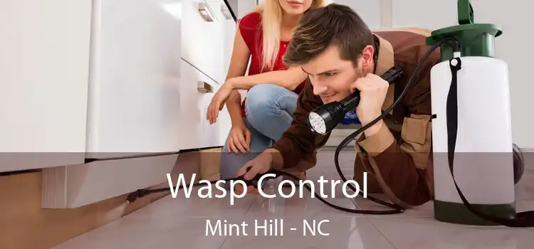  Wasp Control Mint Hill - NC
