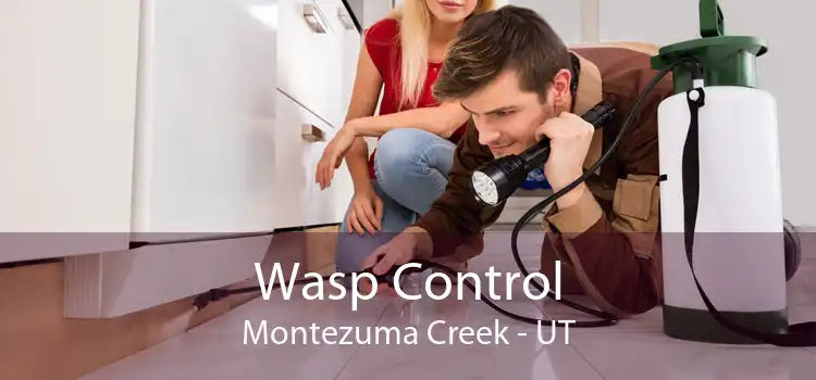Wasp Control Montezuma Creek - UT