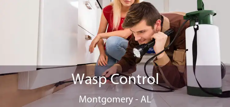  Wasp Control Montgomery - AL