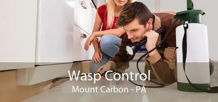 Wasp Control Mount Carbon - PA