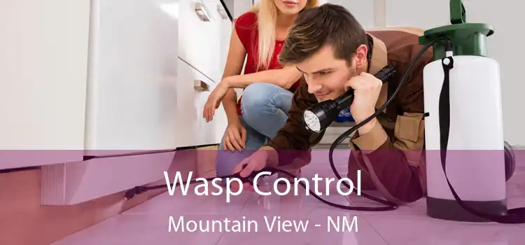  Wasp Control Mountain View - NM