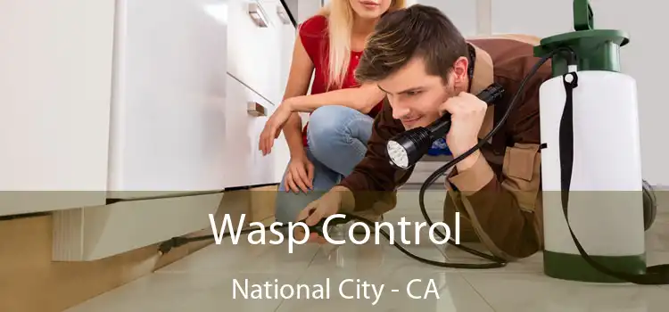  Wasp Control National City - CA