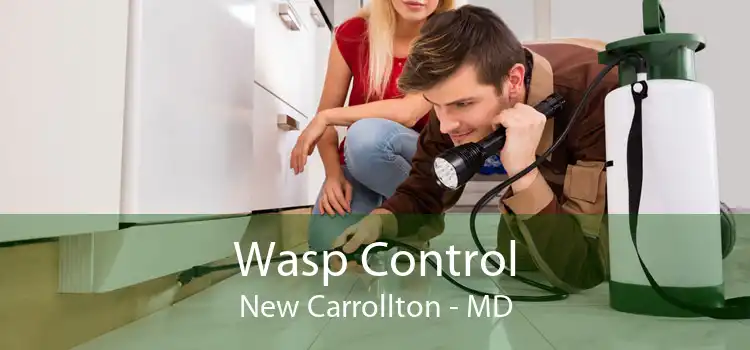 Wasp Control New Carrollton - MD