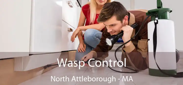  Wasp Control North Attleborough - MA