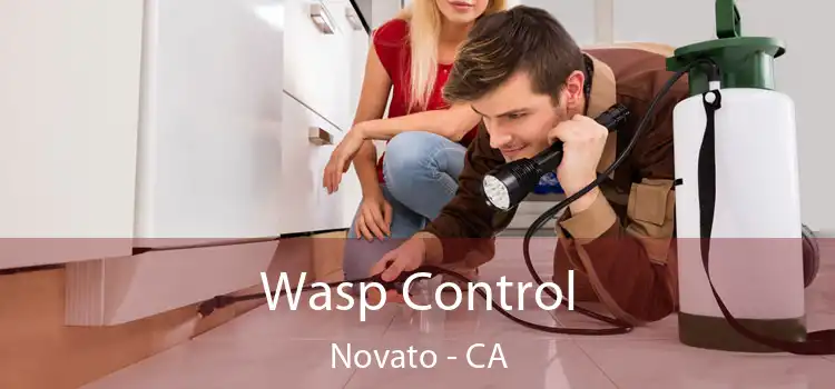  Wasp Control Novato - CA