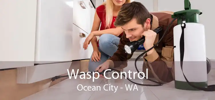 Wasp Control Ocean City - WA