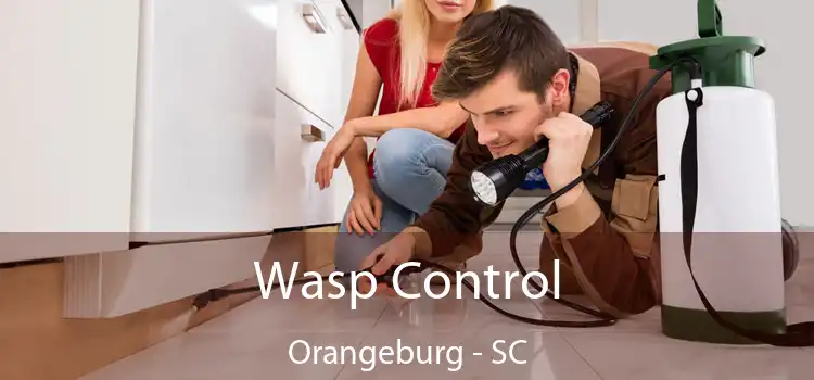  Wasp Control Orangeburg - SC