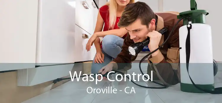 Wasp Control Oroville - CA