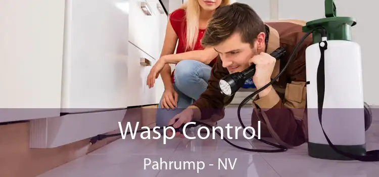  Wasp Control Pahrump - NV