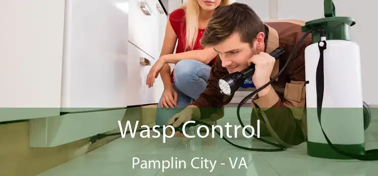  Wasp Control Pamplin City - VA
