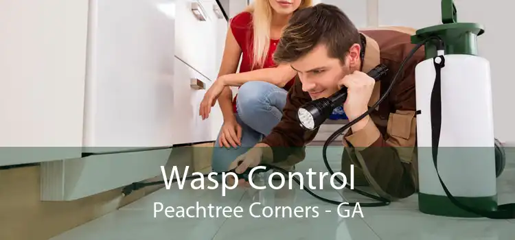 Wasp Control Peachtree Corners - GA