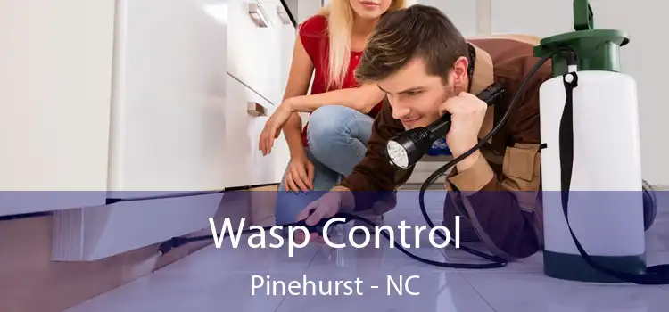  Wasp Control Pinehurst - NC