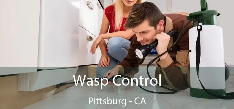  Wasp Control Pittsburg - CA