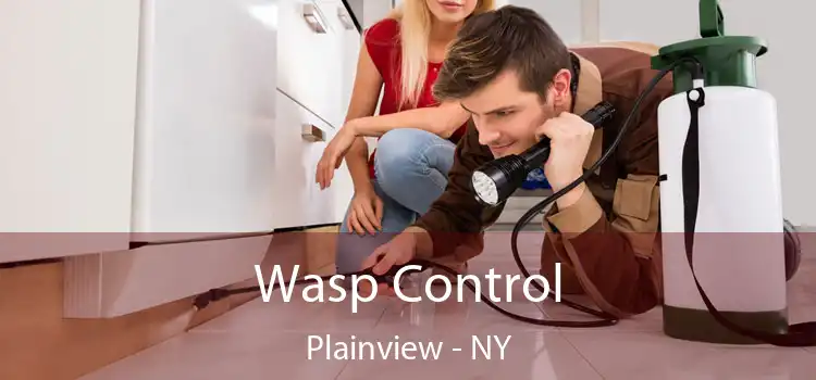  Wasp Control Plainview - NY