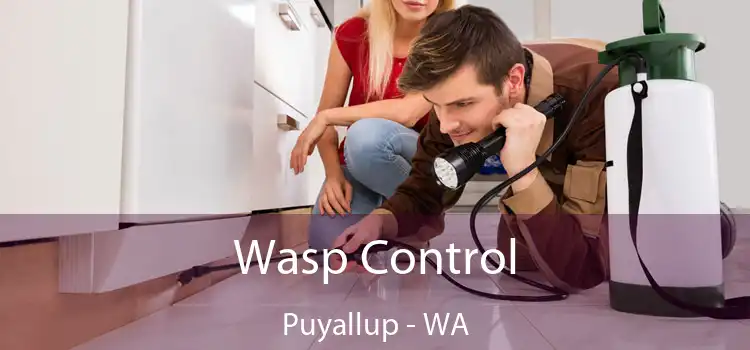  Wasp Control Puyallup - WA