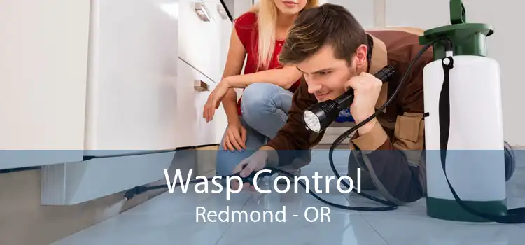 Wasp Control Redmond - OR
