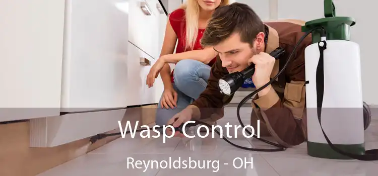  Wasp Control Reynoldsburg - OH