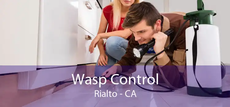 Wasp Control Rialto - CA