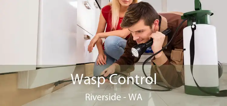  Wasp Control Riverside - WA