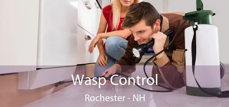  Wasp Control Rochester - NH