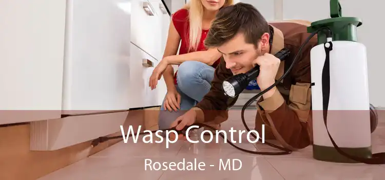  Wasp Control Rosedale - MD