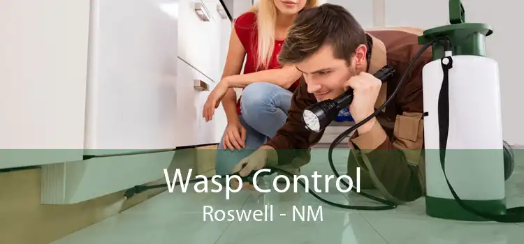 Wasp Control Roswell - NM