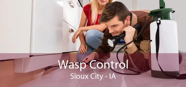 Wasp Control Sioux City - IA