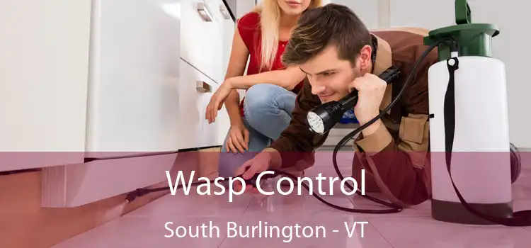  Wasp Control South Burlington - VT