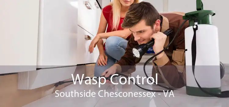 Wasp Control Southside Chesconessex - VA