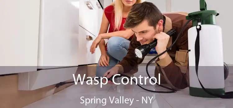  Wasp Control Spring Valley - NY