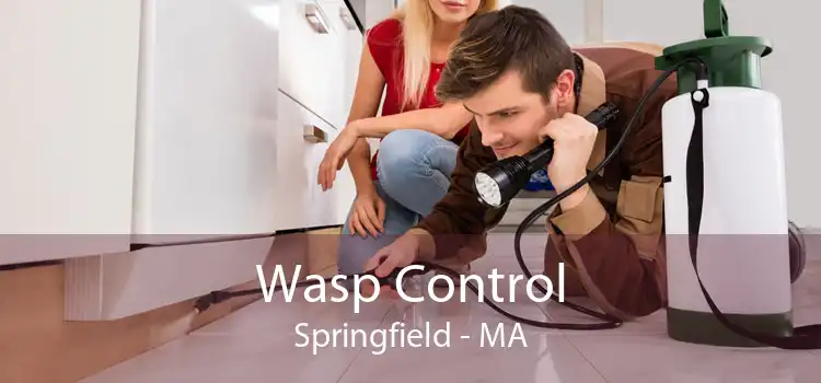 Wasp Control Springfield - MA
