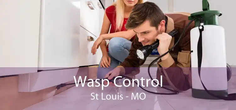 Wasp Control St Louis - MO