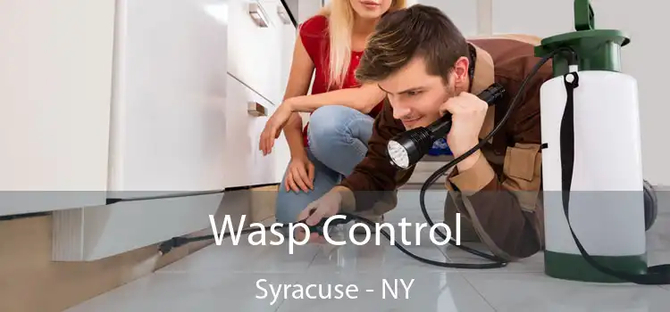 Wasp Control Syracuse - NY