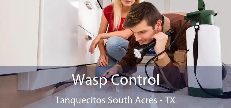  Wasp Control Tanquecitos South Acres - TX