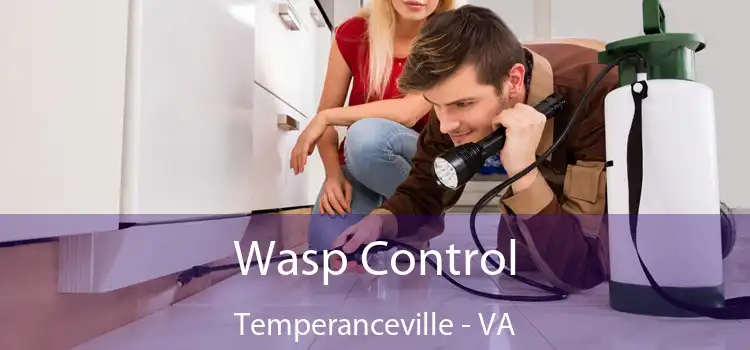  Wasp Control Temperanceville - VA