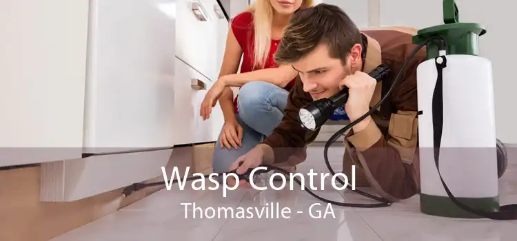 Wasp Control Thomasville - GA