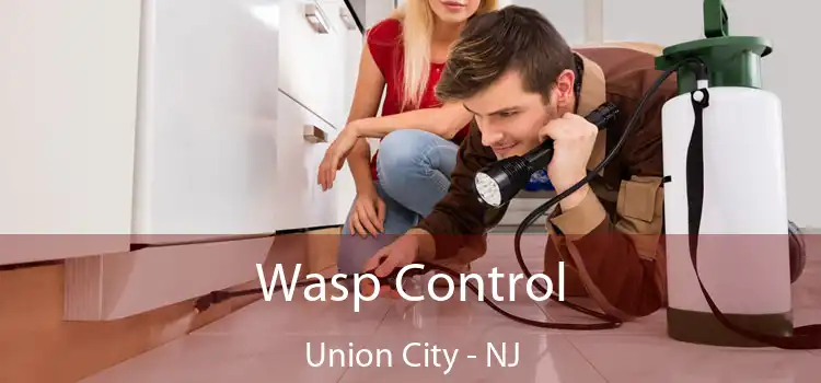  Wasp Control Union City - NJ