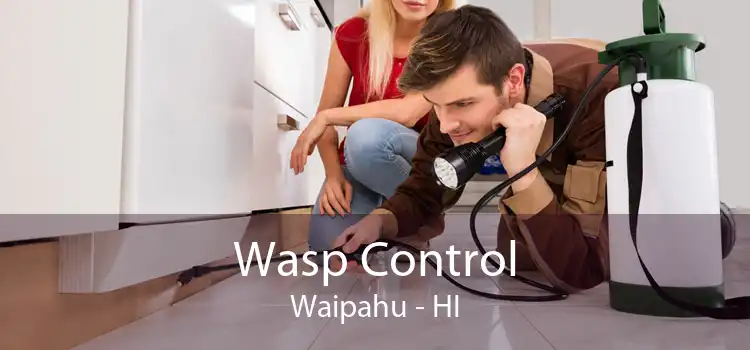 Wasp Control Waipahu - HI