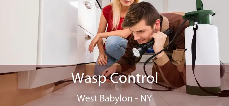  Wasp Control West Babylon - NY