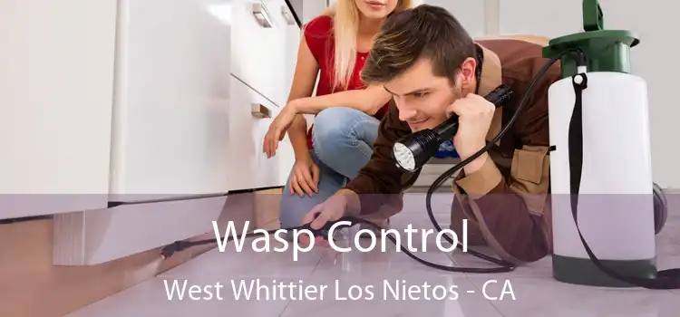  Wasp Control West Whittier Los Nietos - CA