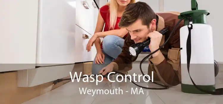 Wasp Control Weymouth - MA