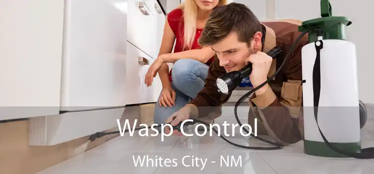  Wasp Control Whites City - NM